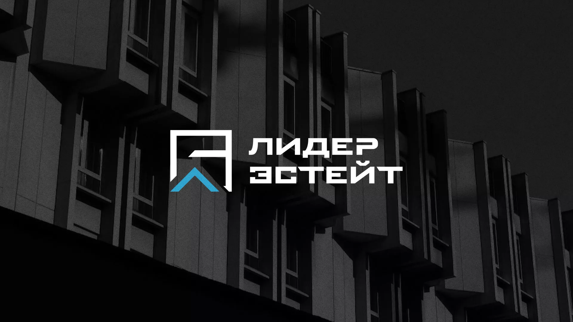 Разработка логотипа агентства недвижимости «Лидер Эстейт» в Новохопёрске